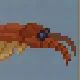 Anomalocaris
