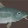 Arctic Cod