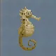 Big-Belly Seahorse