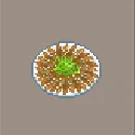 Big-Eyed Scad and Soybean Paste Roast