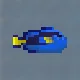 Blue Tang