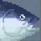 Bluefin Tuna