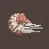 Chambered Nautilus
