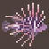 Clearfin Lionfish