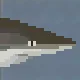 Copper Shark