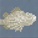 Devil Scorpionfish