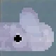 Dumbo Octopus