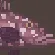 Dusky Grouper