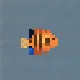 Flame Angelfish