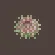 Green Sea Urchin