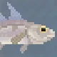 Haddock