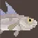 Haddock