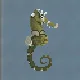 Lined Seahorse