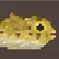 Longspine Porcupinefish