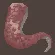 Lusca Tentacle