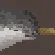 Narwhal Meat