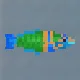 Ornate Wrasse