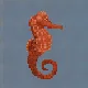 Pacific Seahorse