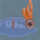 Peacock Squid
