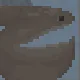 Pelican Eel