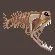Perished Loosejaw