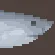 Porbeagle Shark Meat