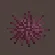Purple Sea Urchin