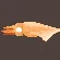 Radiant Squid