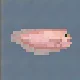 Salmon Snailfish