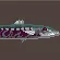 Savage Barracuda