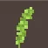 Sea Grape
