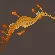 Seadragon