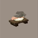 Smooth Hammerhead Sushi