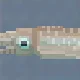 Spear Squid