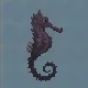 Spotted Seahorse
