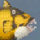 Titan Triggerfish