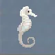 White Seahorse