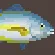White Trevally