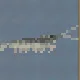 Whiteleg Shrimp