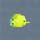 Yellow Tang
