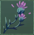 Mother's Gift